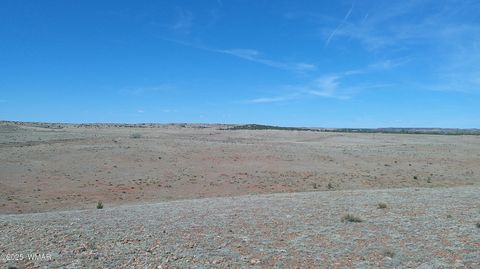 Tiny photo for TBD Hereford Rd., Taylor, AZ 85939 (MLS # 255971)