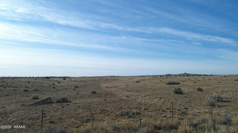Photo of TBD Hereford Rd., Taylor, AZ 85939 (MLS # 255971)