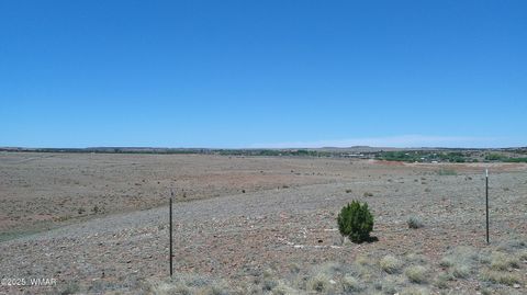 Tiny photo for TBD Hereford Rd., Taylor, AZ 85939 (MLS # 255971)