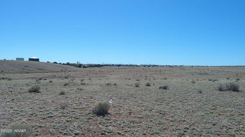 Tiny photo for TBD Hereford Rd., Taylor, AZ 85939 (MLS # 255971)