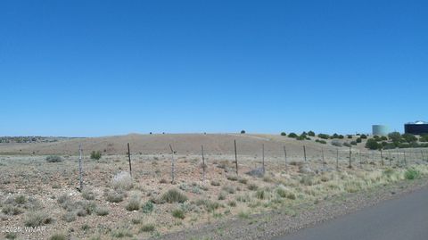Tiny photo for TBD Hereford Rd., Taylor, AZ 85939 (MLS # 255971)