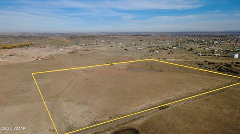 Tiny photo for TBD Hereford Rd., Taylor, AZ 85939 (MLS # 255971)