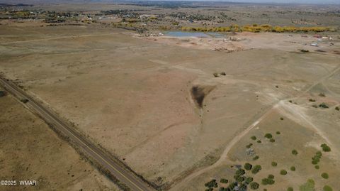 Tiny photo for TBD Hereford Rd., Taylor, AZ 85939 (MLS # 255971)
