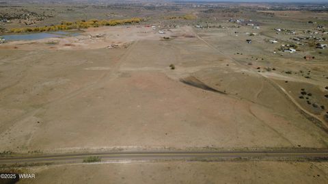 Tiny photo for TBD Hereford Rd., Taylor, AZ 85939 (MLS # 255971)