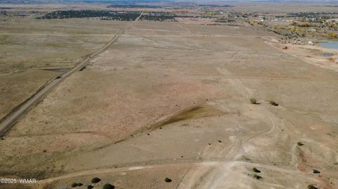 Tiny photo for TBD Hereford Rd., Taylor, AZ 85939 (MLS # 255971)