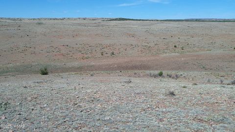 Tiny photo for TBD Hereford Rd., Taylor, AZ 85939 (MLS # 255971)