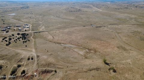 Tiny photo for TBD Hereford Rd., Taylor, AZ 85939 (MLS # 255971)