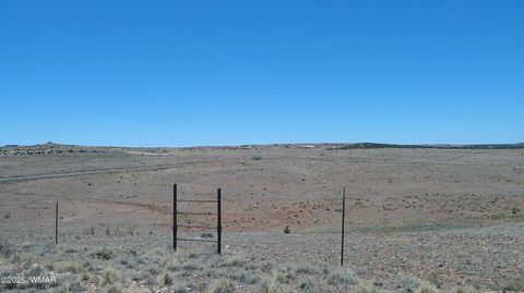 Tiny photo for TBD Hereford Rd., Taylor, AZ 85939 (MLS # 255971)