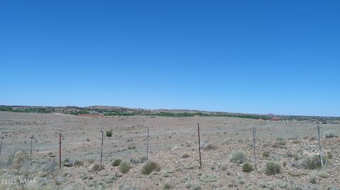 Tiny photo for TBD Hereford Rd., Taylor, AZ 85939 (MLS # 255971)