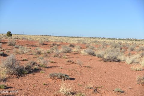 Photo of TBD Hopi Lane, Snowflake, AZ 85937 (MLS # 254967)