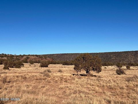 Tiny photo for 3847 Coronado Road, Snowflake, AZ 85937 (MLS # 259358)