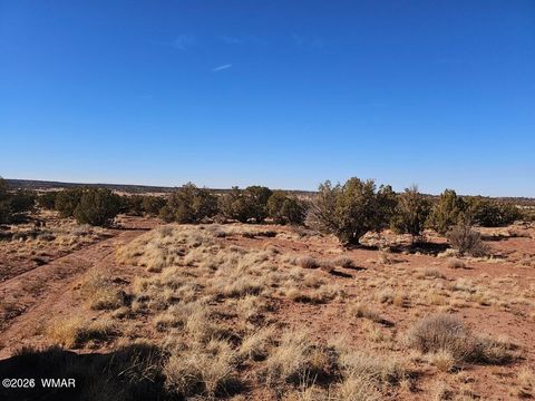 Tiny photo for 3847 Coronado Road, Snowflake, AZ 85937 (MLS # 259358)
