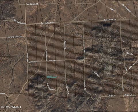 Tiny photo for 3847 Coronado Road, Snowflake, AZ 85937 (MLS # 259358)