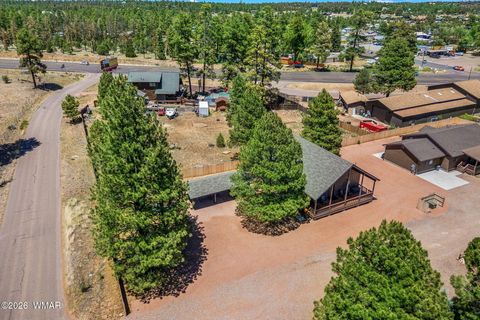 Tiny photo for 2747 Senior Center Street, Overgaard, AZ 85933 (MLS # 261701)