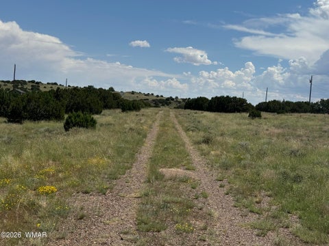 Tiny photo for 103 CR 5202, Concho, AZ 85924 (MLS # 262943)