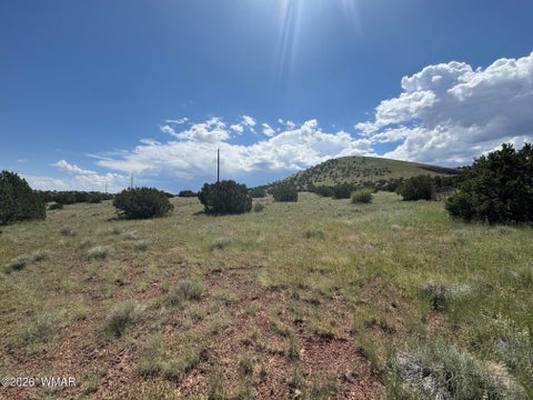 Tiny photo for 103 CR 5202, Concho, AZ 85924 (MLS # 262943)