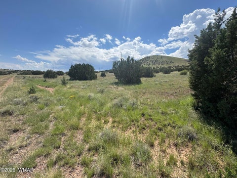 Tiny photo for 103 CR 5202, Concho, AZ 85924 (MLS # 262943)