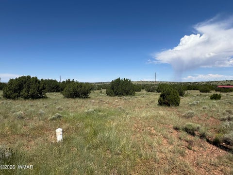 Tiny photo for 103 CR 5202, Concho, AZ 85924 (MLS # 262943)