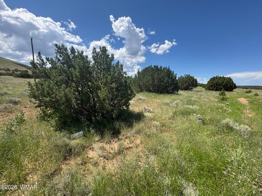 33 COUNTY RD 5202, CONCHO, AZ 85924 - Image 0d81d08a35abda125930fbe901ae1b8e/79322975