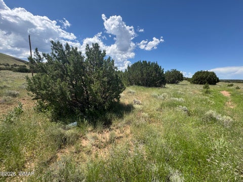 Photo of 103 CR 5202, Concho, AZ 85924 (MLS # 262943)
