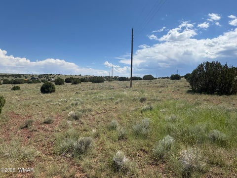 Tiny photo for 103 CR 5202, Concho, AZ 85924 (MLS # 262943)