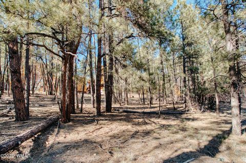 Tiny photo for 5512 Quail Run, Pinedale, AZ 85934 (MLS # 258582)