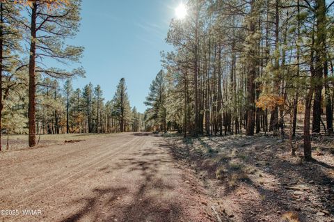 Tiny photo for 5512 Quail Run, Pinedale, AZ 85934 (MLS # 258582)