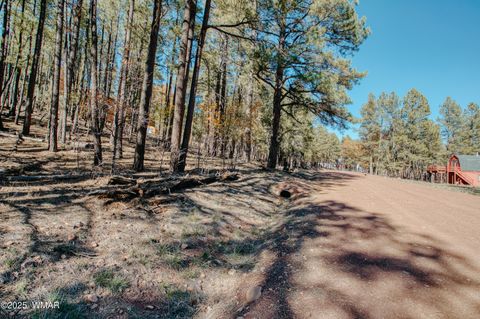 Tiny photo for 5512 Quail Run, Pinedale, AZ 85934 (MLS # 258582)