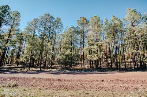 Tiny photo for 5512 Quail Run, Pinedale, AZ 85934 (MLS # 258582)