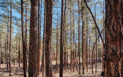 Tiny photo for 5512 Quail Run, Pinedale, AZ 85934 (MLS # 258582)