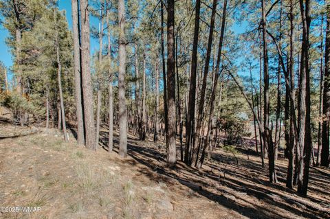 Tiny photo for 5512 Quail Run, Pinedale, AZ 85934 (MLS # 258582)