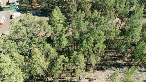 Tiny photo for 5512 Quail Run, Pinedale, AZ 85934 (MLS # 258582)