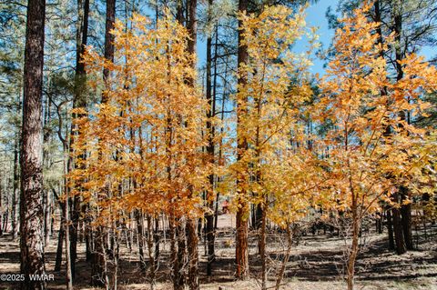 Tiny photo for 5512 Quail Run, Pinedale, AZ 85934 (MLS # 258582)