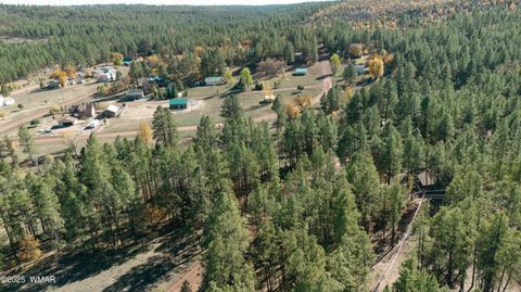 Tiny photo for 5512 Quail Run, Pinedale, AZ 85934 (MLS # 258582)