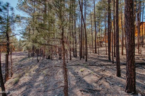 Tiny photo for 5512 Quail Run, Pinedale, AZ 85934 (MLS # 258582)