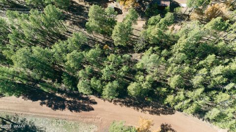 Tiny photo for 5512 Quail Run, Pinedale, AZ 85934 (MLS # 258582)