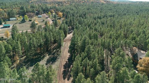 Tiny photo for 5512 Quail Run, Pinedale, AZ 85934 (MLS # 258582)