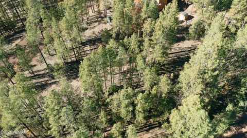 Tiny photo for 5512 Quail Run, Pinedale, AZ 85934 (MLS # 258582)