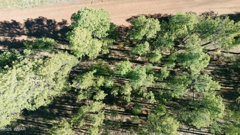 Tiny photo for 5512 Quail Run, Pinedale, AZ 85934 (MLS # 258582)