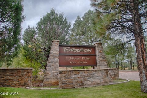Tiny photo for 980 S Beech Lane, Show Low, AZ 85901 (MLS # 254682)