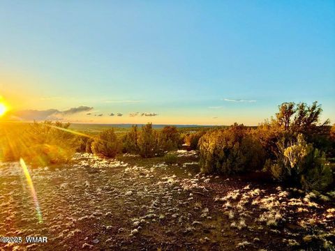 Tiny photo for 0 W Weber Rd Lots A & B 10 Acres, Show Low, AZ 85901 (MLS # 258296)