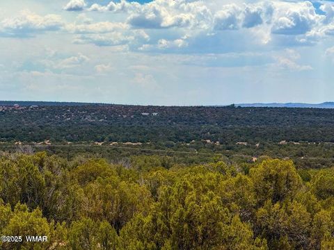 Tiny photo for 0 W Weber Rd Lots A & B 10 Acres, Show Low, AZ 85901 (MLS # 258296)