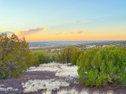 Tiny photo for 0 W Weber Rd Lots A & B 10 Acres, Show Low, AZ 85901 (MLS # 258296)