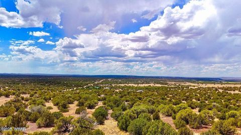 Tiny photo for 0 W Weber Rd Lots A & B 10 Acres, Show Low, AZ 85901 (MLS # 258296)
