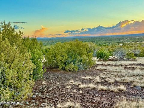 Tiny photo for 0 W Weber Rd Lots A & B 10 Acres, Show Low, AZ 85901 (MLS # 258296)