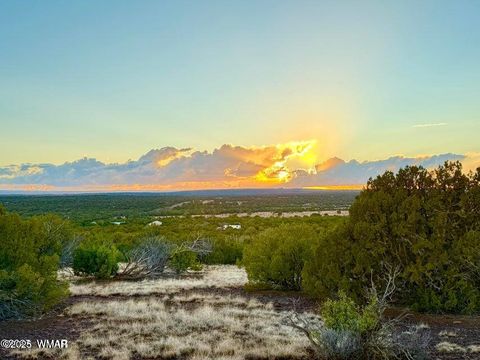 Tiny photo for 0 W Weber Rd Lots A & B 10 Acres, Show Low, AZ 85901 (MLS # 258296)