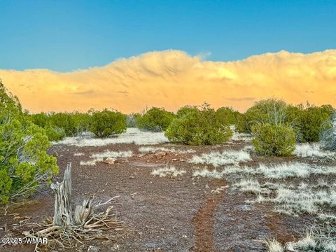 Tiny photo for 0 W Weber Rd Lots A & B 10 Acres, Show Low, AZ 85901 (MLS # 258296)