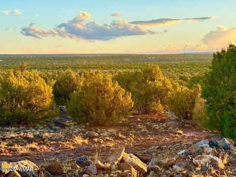 Tiny photo for 0 W Weber Rd Lots A & B 10 Acres, Show Low, AZ 85901 (MLS # 258296)