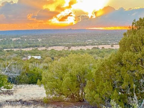 Photo of 0 W Weber Rd Lots A &amp; B 10 Acres, Show Low, AZ 85901 (MLS # 258296)