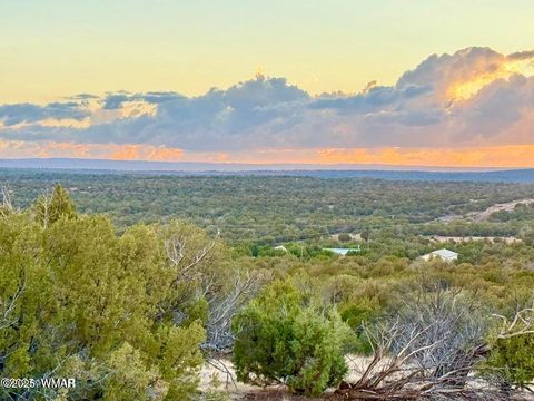Tiny photo for 0 W Weber Rd Lots A & B 10 Acres, Show Low, AZ 85901 (MLS # 258296)